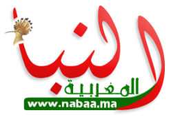 النبأ المغربية