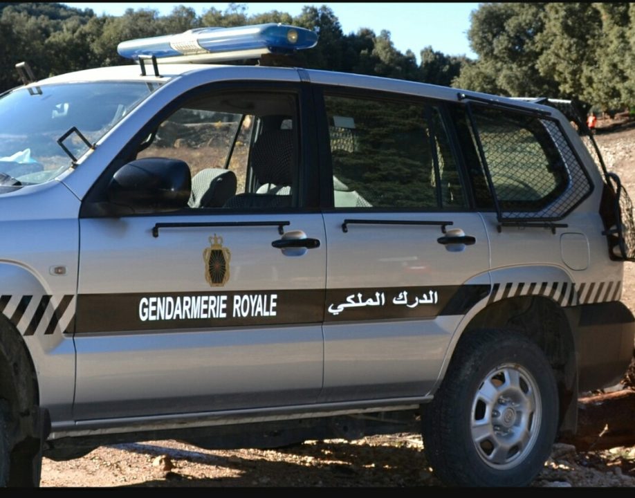 ضبط كميات كبيرة من المخدرات و”ماء الحياة” في عملية نوعية بالرشيدية