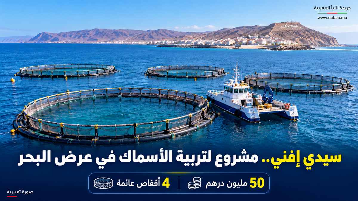 سيدي إفني تدخل عصر تربية الأسماك في أعالي البحار.. مشروع علمي واستثماري بـ50 مليون درهم يفتح آفاق الاقتصاد الأزرق